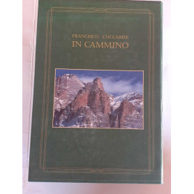 In cammino. Tomi I-II