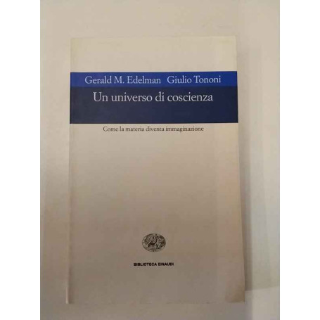 Un universo di coscienza. Come la materia diventa immaginazione.