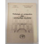 Pathologie et restauration des constructions en pierre