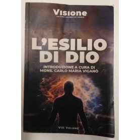 Visione. Un altro sguardo sul mondo. L' esilio di Dio (2023) (Vol. 8)