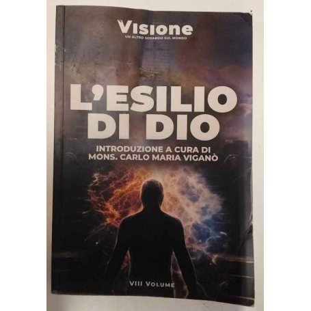 Visione. Un altro sguardo sul mondo. L' esilio di Dio (2023) (Vol. 8)