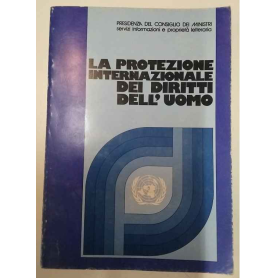 Protezione internazionale dei diritti dell'uomo