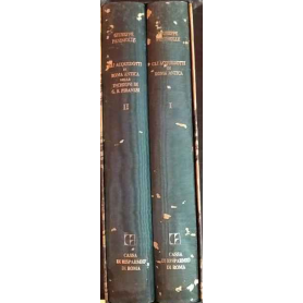 Gli acquedotti di Roma antica. Gli acquedotti di Roma antica nelle incisioni di G. B. Piranesi.