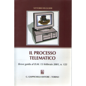 Il processo telematico. Breve guida al D.M. 13 febbraio 2001 n. 123