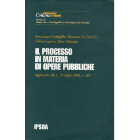 Il processo in materia di opere pubbliche