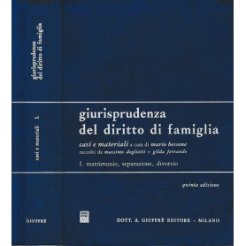 Giurisprudenza del diritto di famiglia. Casi e materiali. Matrimonio separazione divorzio (Vol. 1)