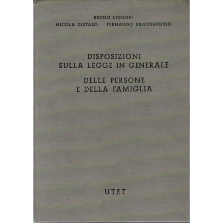 Disposizioni sulla legge in generale delle persone e della famiglia.