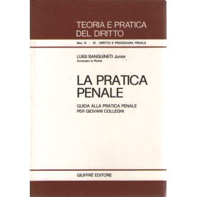 La pratica penale
