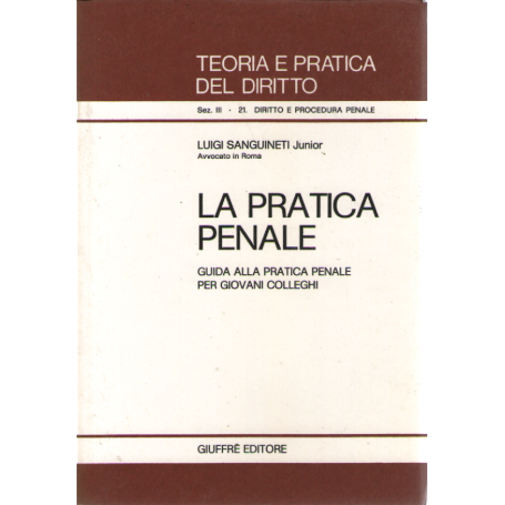 La pratica penale