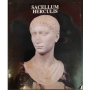 Sacellum Herculis: le sculture del tempio di Ercole a Trastevere