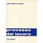 Processo del lavoro