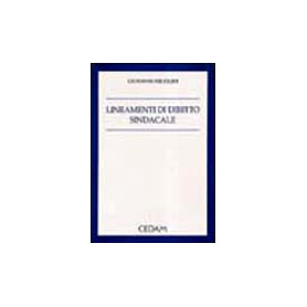 Lineamenti diritto sindacale