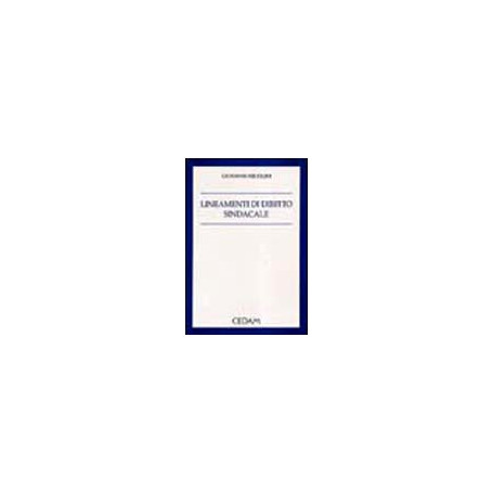 Lineamenti diritto sindacale