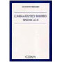 Lineamenti diritto sindacale