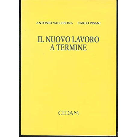 Il nuovo lavoro a termine