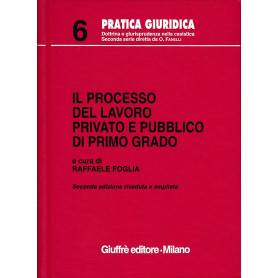 Il processo del lavoro privato e pubblico di primo grado