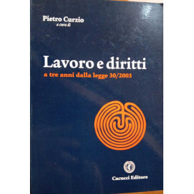 Lavoro e diritti a tre anni dalla legge 30/2003