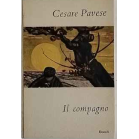Il compagno.