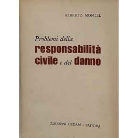 Problemi della responsabilità civile e del danno