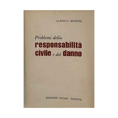 Problemi della responsabilità civile e del danno
