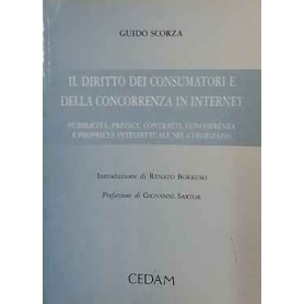 Il diritto dei consumatori e della concorrenza in Internet