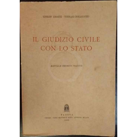 Il giudizio civile con lo Stato