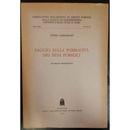 Saggio sulla pubblicità dei beni pubblici