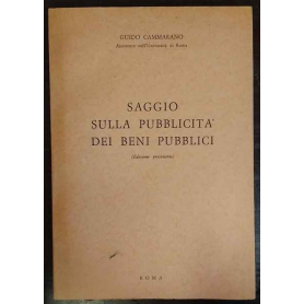 Saggio sulla pubblicità dei beni pubblici. Edizione provvisoria.