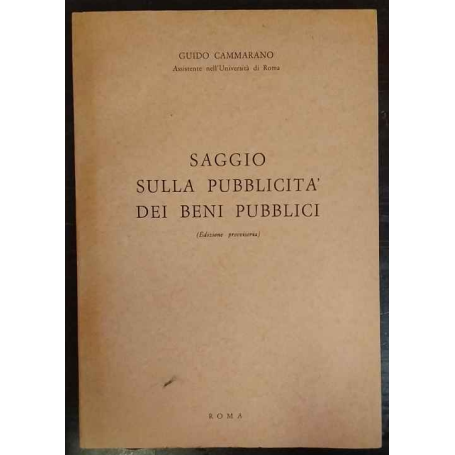 Saggio sulla pubblicità dei beni pubblici. Edizione provvisoria.