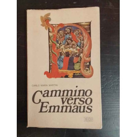 Cammino verso Emmaus
