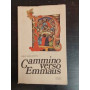 Cammino verso Emmaus