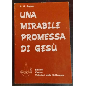 Una mirabile promessa di Gesù