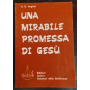Una mirabile promessa di Gesù
