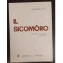 Il Sicomòro. Riflessioni sul vangelo di Zaccheo