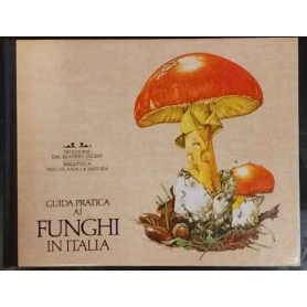 Guida pratica ai funghi in Italia