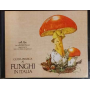 Guida pratica ai funghi in Italia
