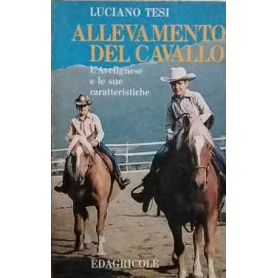 Allevamento del cavallo