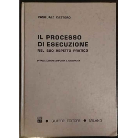 Il processo di esecuzione nel suo aspetto pratico