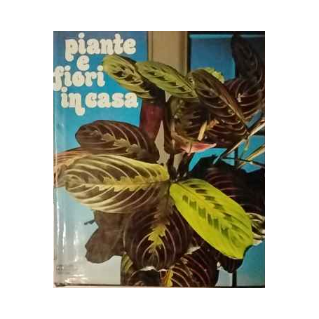 Piante e fiori in casa