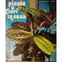 Piante e fiori in casa