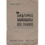Anatomia Radiografica del Cranio