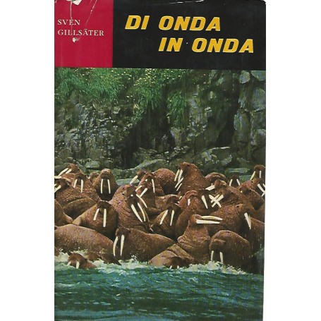 Di onda in onda