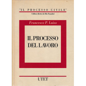 Il processo del lavoro