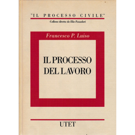 Il processo del lavoro