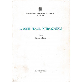La corte penale internazionale