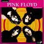 Pink Floyd. Discografia illustrata