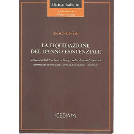 La liquidazione del danno esistenziale