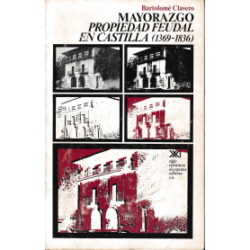 Mayorazgo. Propiedad feudal en Castilla (1369-1836)