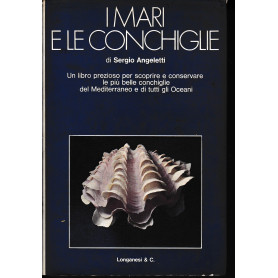 I mari e le conchiglie