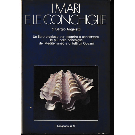 I mari e le conchiglie